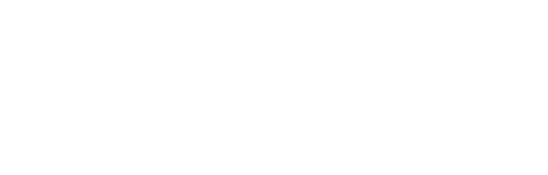 BisCom Informationstjänster